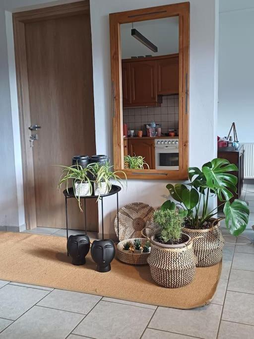 Metoxi Holiday home *